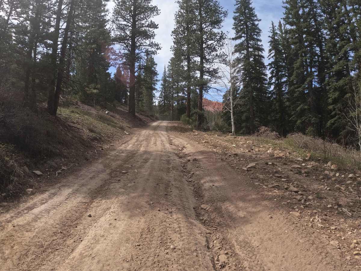 Proctor Canyon - FS 30109 photo 6