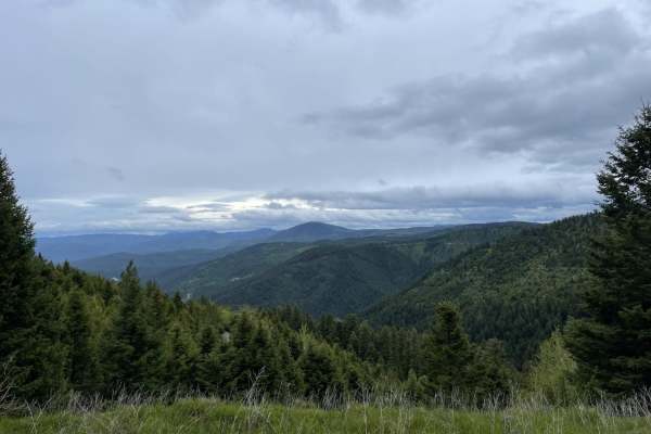 Upper Cave Gulch Road