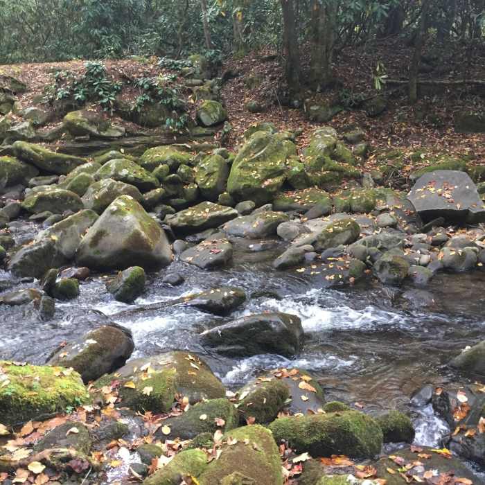 There are lots of tough river crossings along Forney Creek. The top-left of the image is the other side of the trail. Near Forney Creek Trail