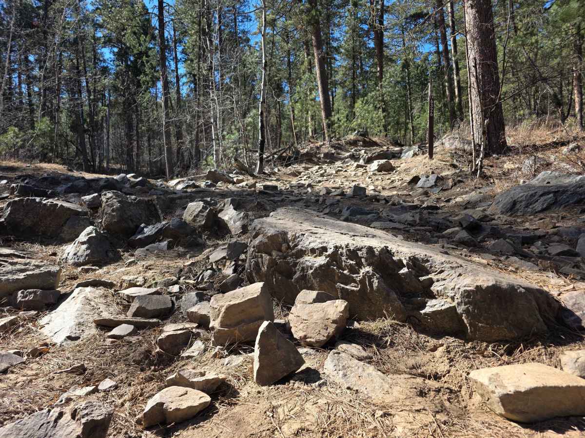 Bogus Jim - 448.1A trail photo