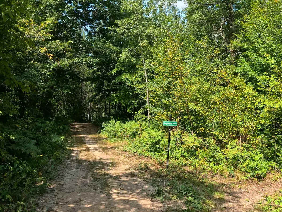 AlanDale Stem Trail photo 2