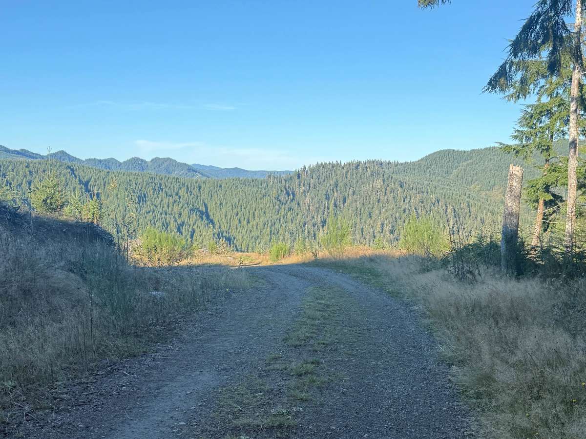 FRF 1200 photo 2