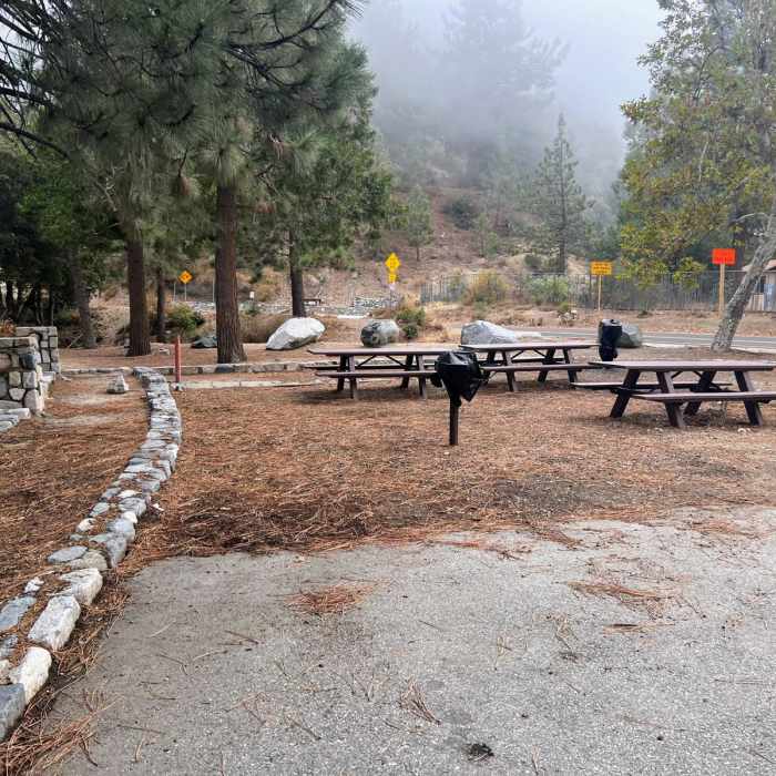 Near Mount Wilson Trail to Red Box