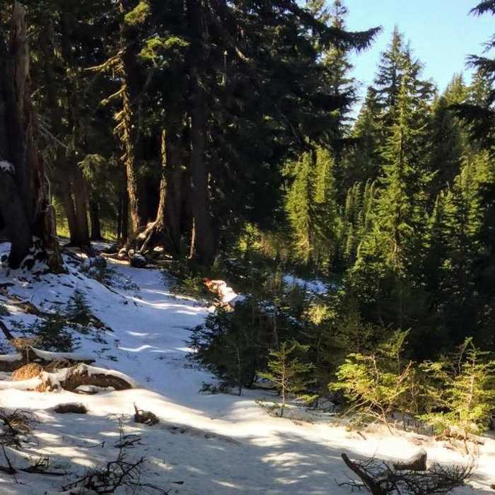 Near Kelsay Valley to Miller Lake Loop