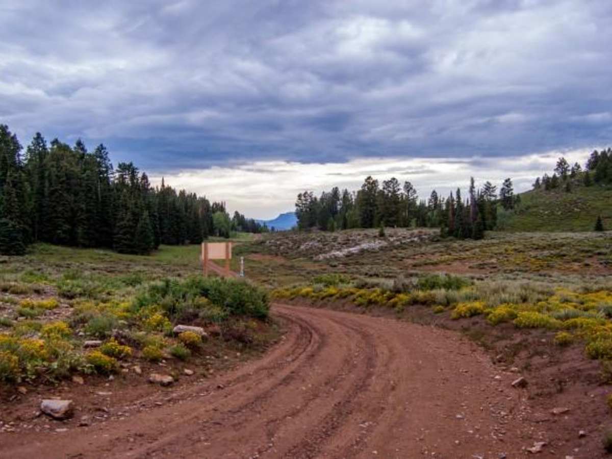 Temple Fork and Old Ephraim's Grave trail photo
