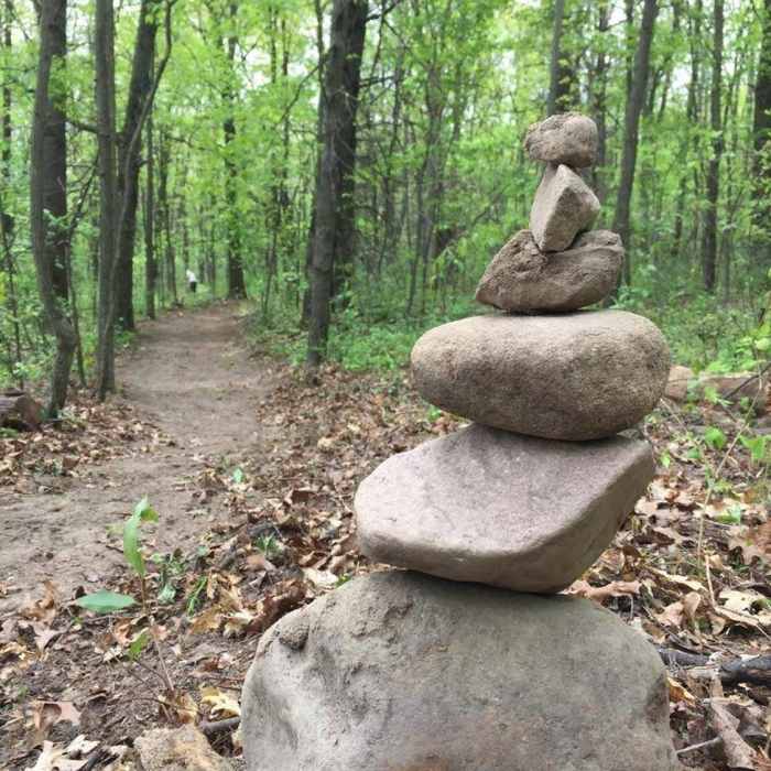 Near DTE Energy Foundation Trail and Big Kame Loop