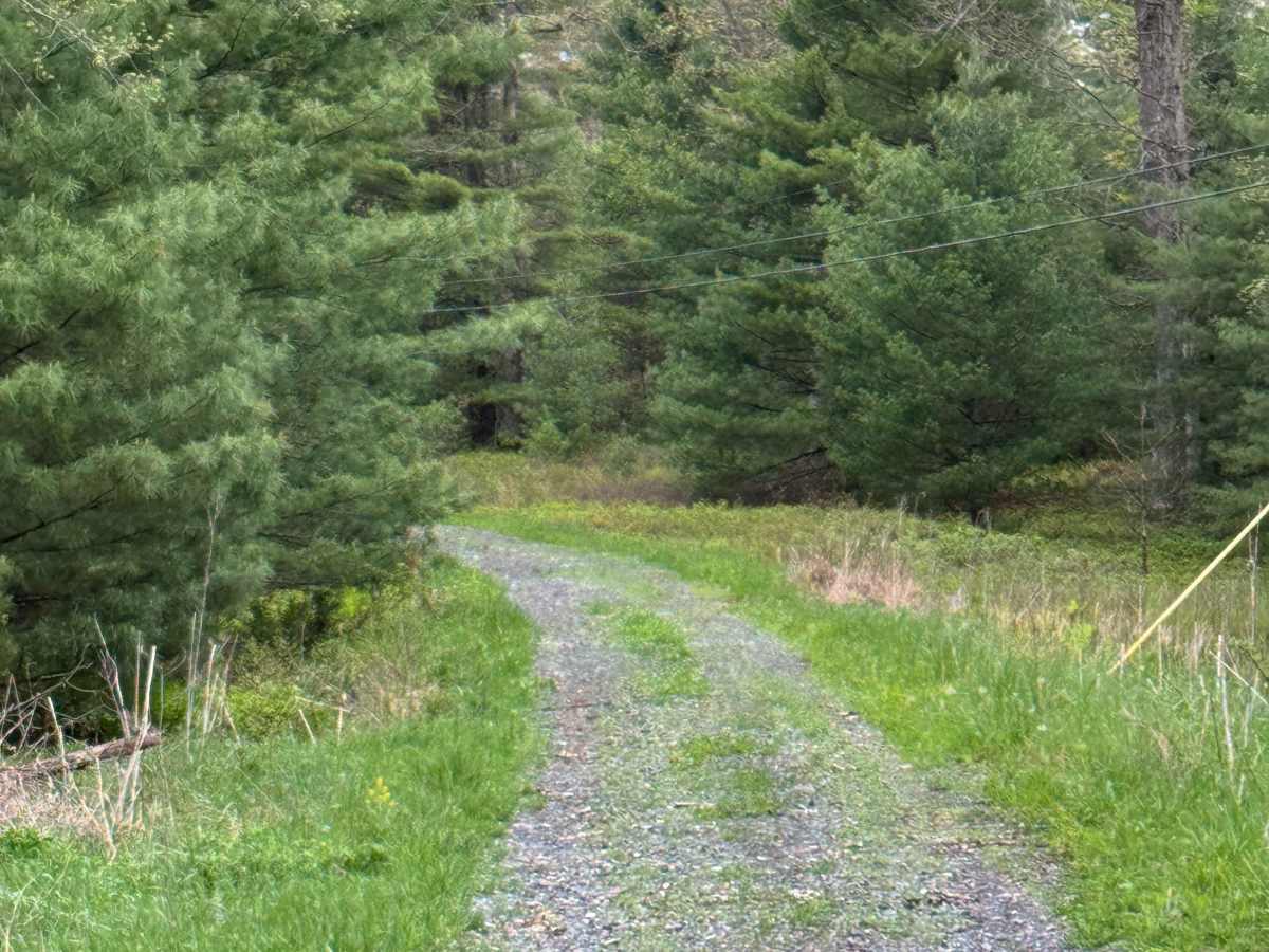 Coudy Pike Trail photo 5