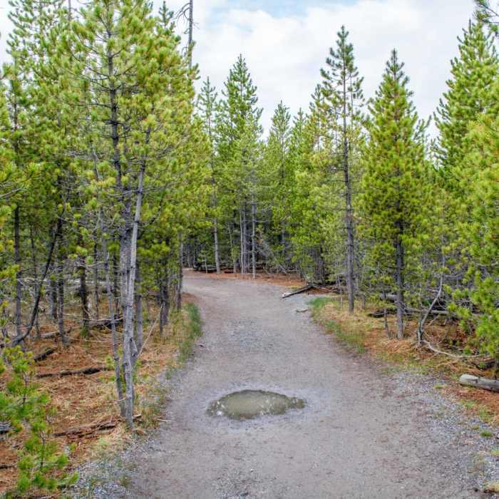 Near Artist Paintpots