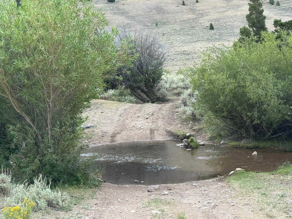 Willow Creek - Viola Mine photo 5