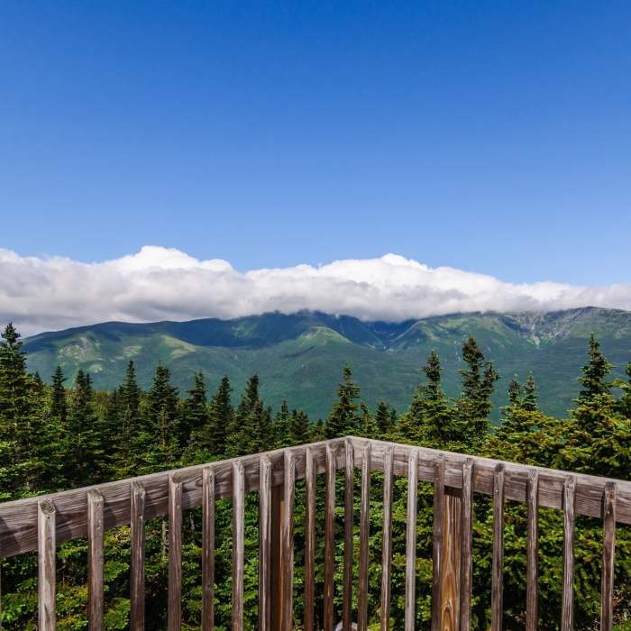 Wildcat Ridge Wildcat Ridge Trail | Hiking Trail Maps, Difficulty, Trail Status | onX