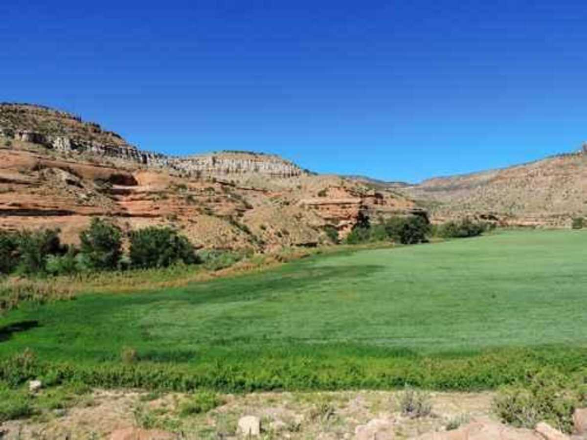 Escalante Canyon photo 5