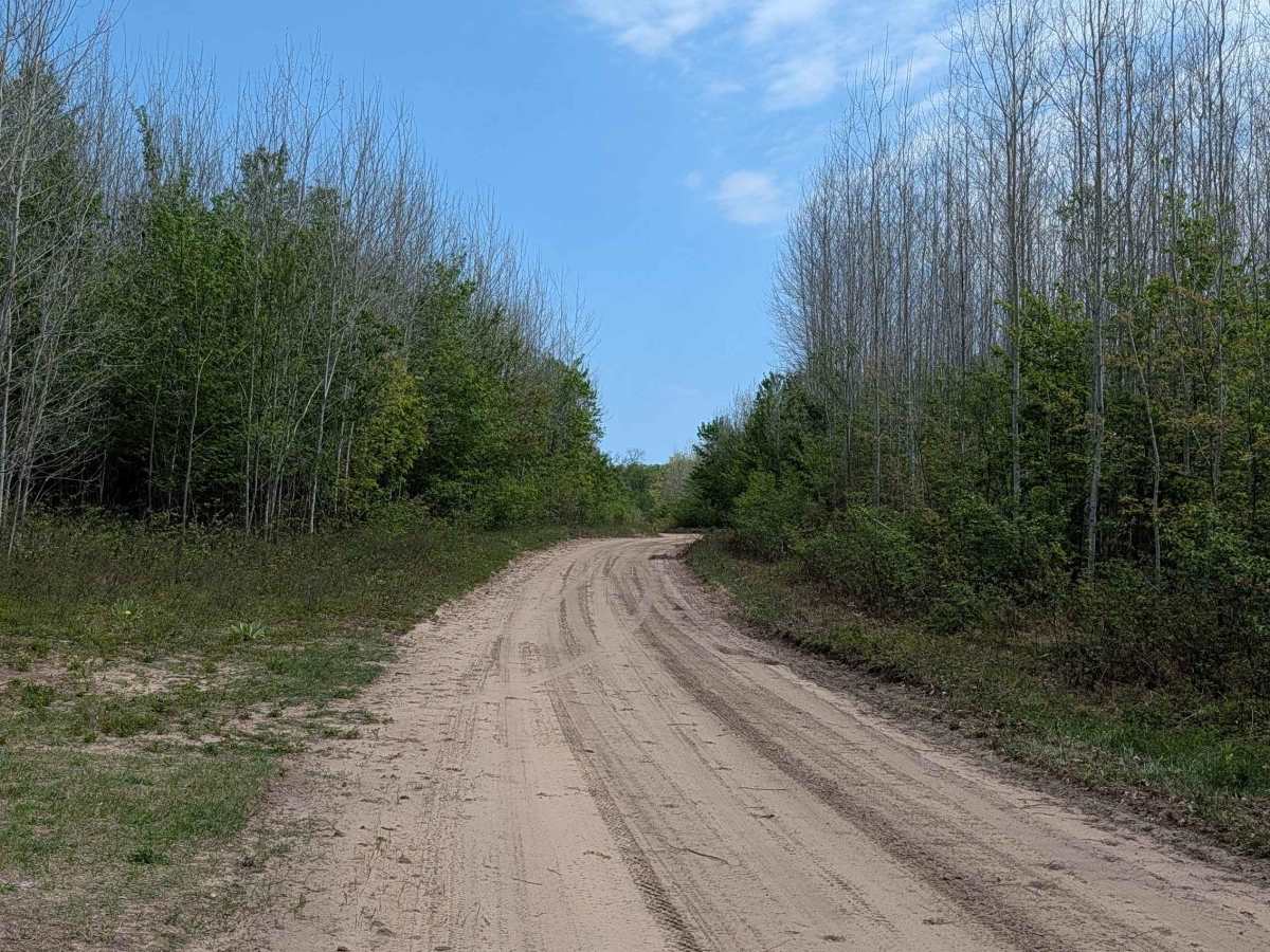 West Boehm Road trail photo