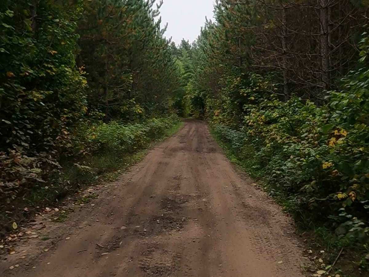Fisher Road - FS 3005 (ORV Route Ai) trail photo