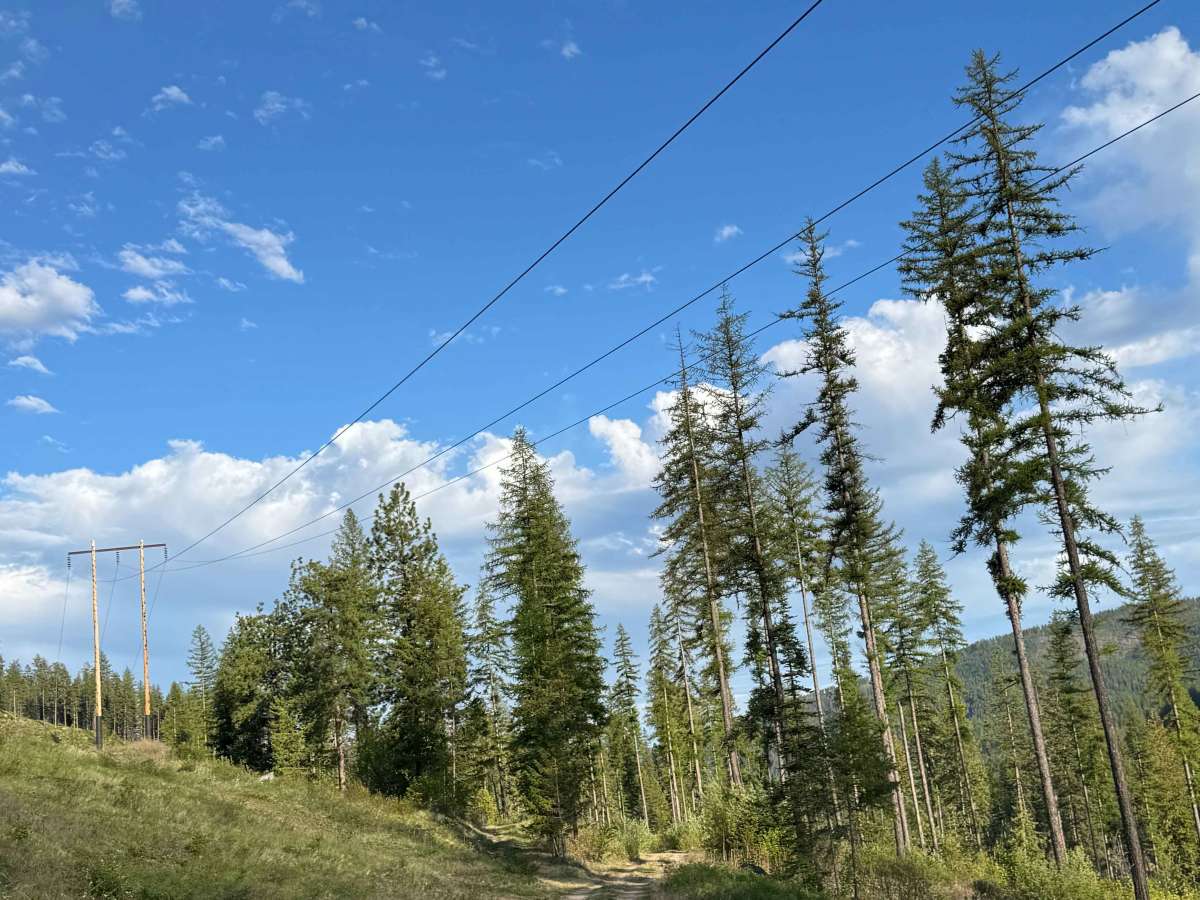 Old Sherman Highway photo 3