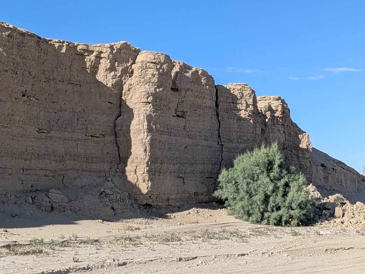 Carrizo Wash North photo 6