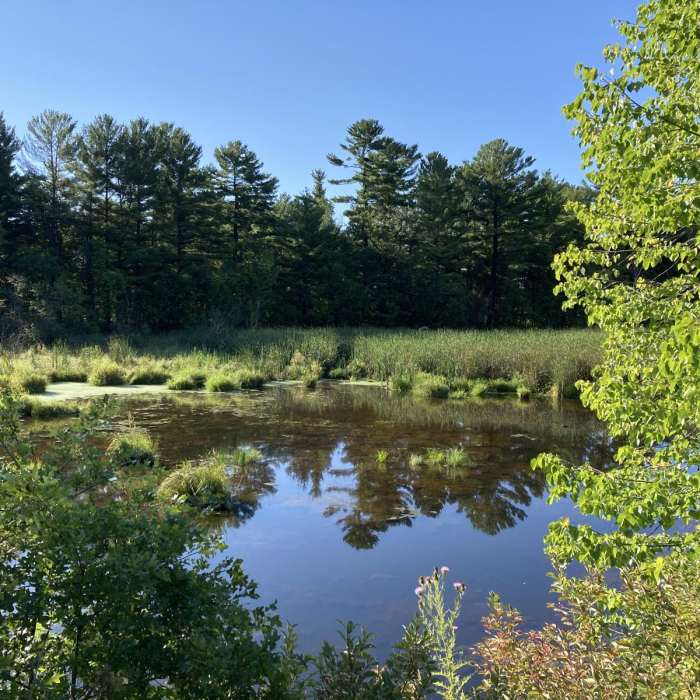 Near Old Abe State Trail