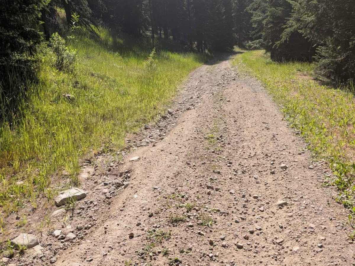 FS 3800-365 trail photo
