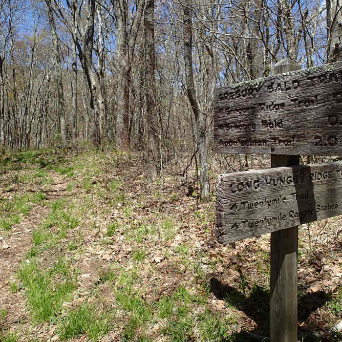 Near Gregory Ridge Trail