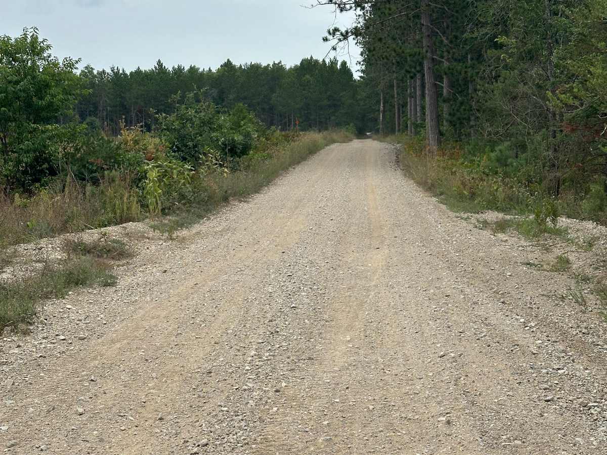 Doe Road photo 4