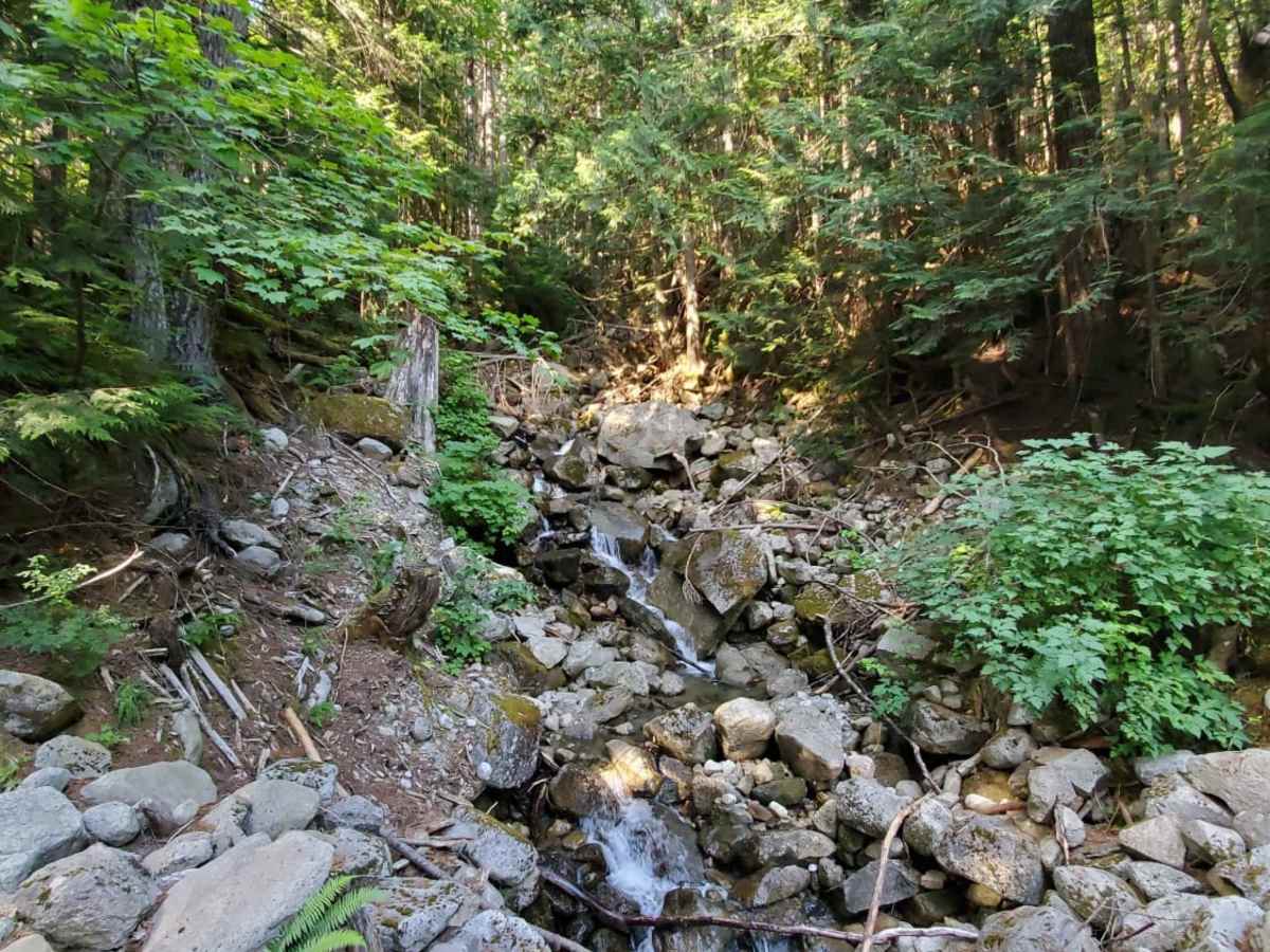 Mason Lake/Talapus Lake Trailhead trail photo