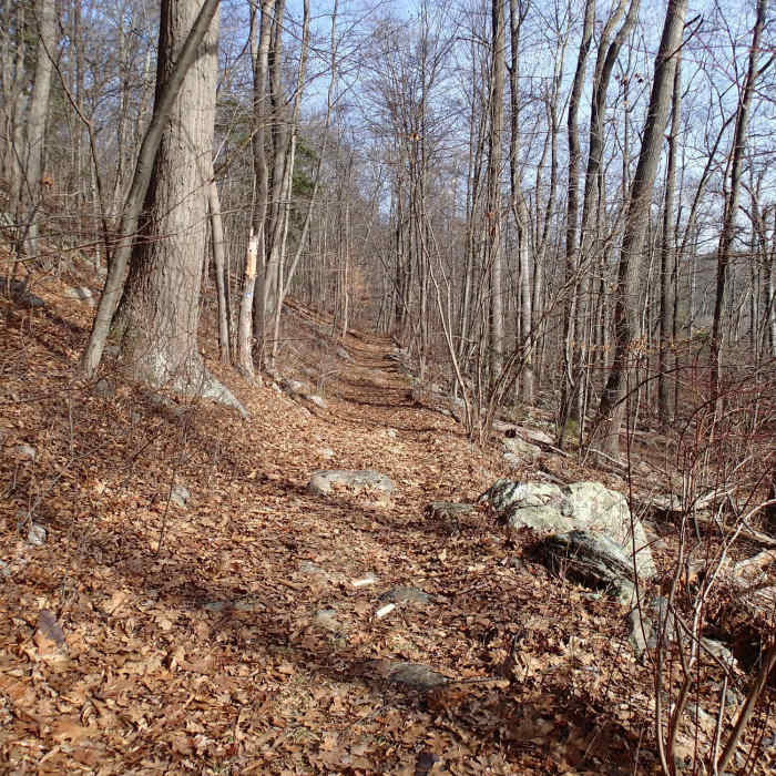 Hank's West Trail Near Loop around Hank's Pond and beyond Stephens Road