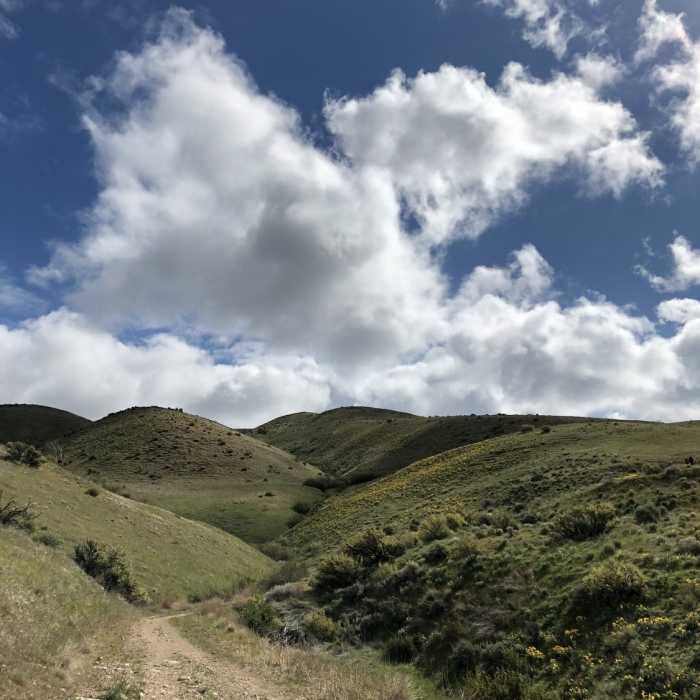 Near Homestead Trail #12