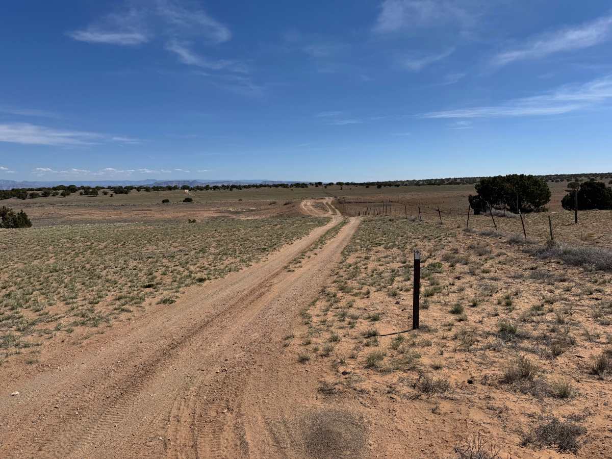 Big Flat trail photo