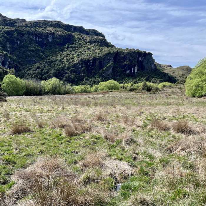 Near Diamond Lake and Rocky Mountain Track Near Diamond Lake and Rocky Mountain Track
