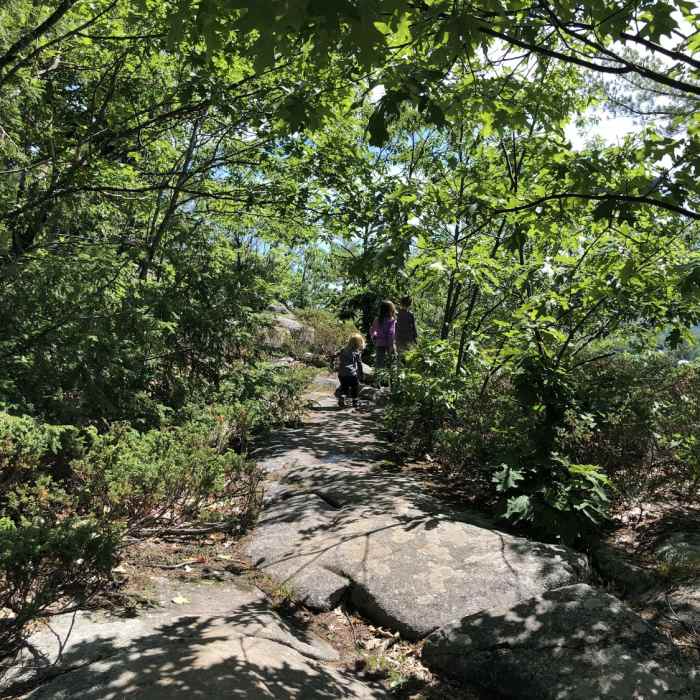 Near French Mountain Trail