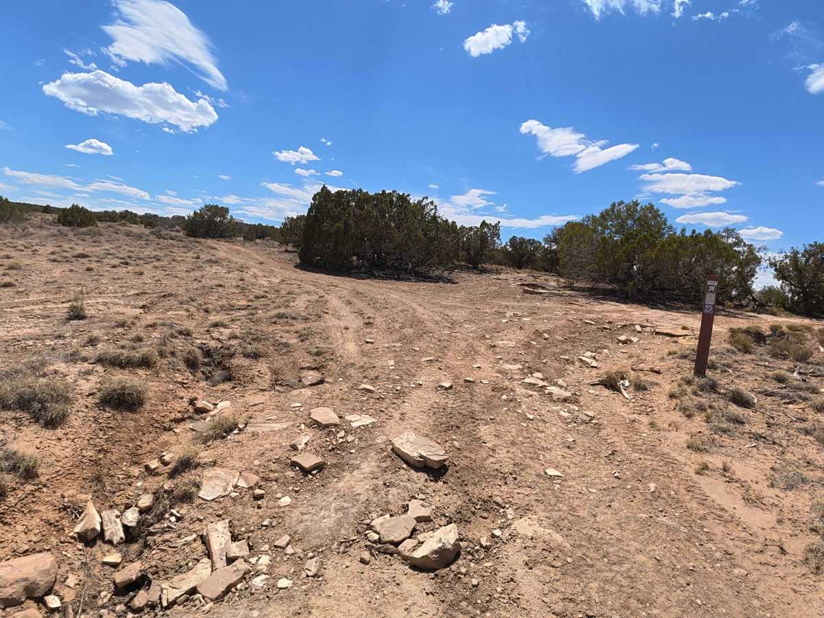 Coal Bank Loop photo 3