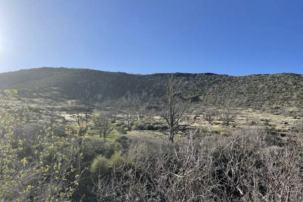 Black Canyon