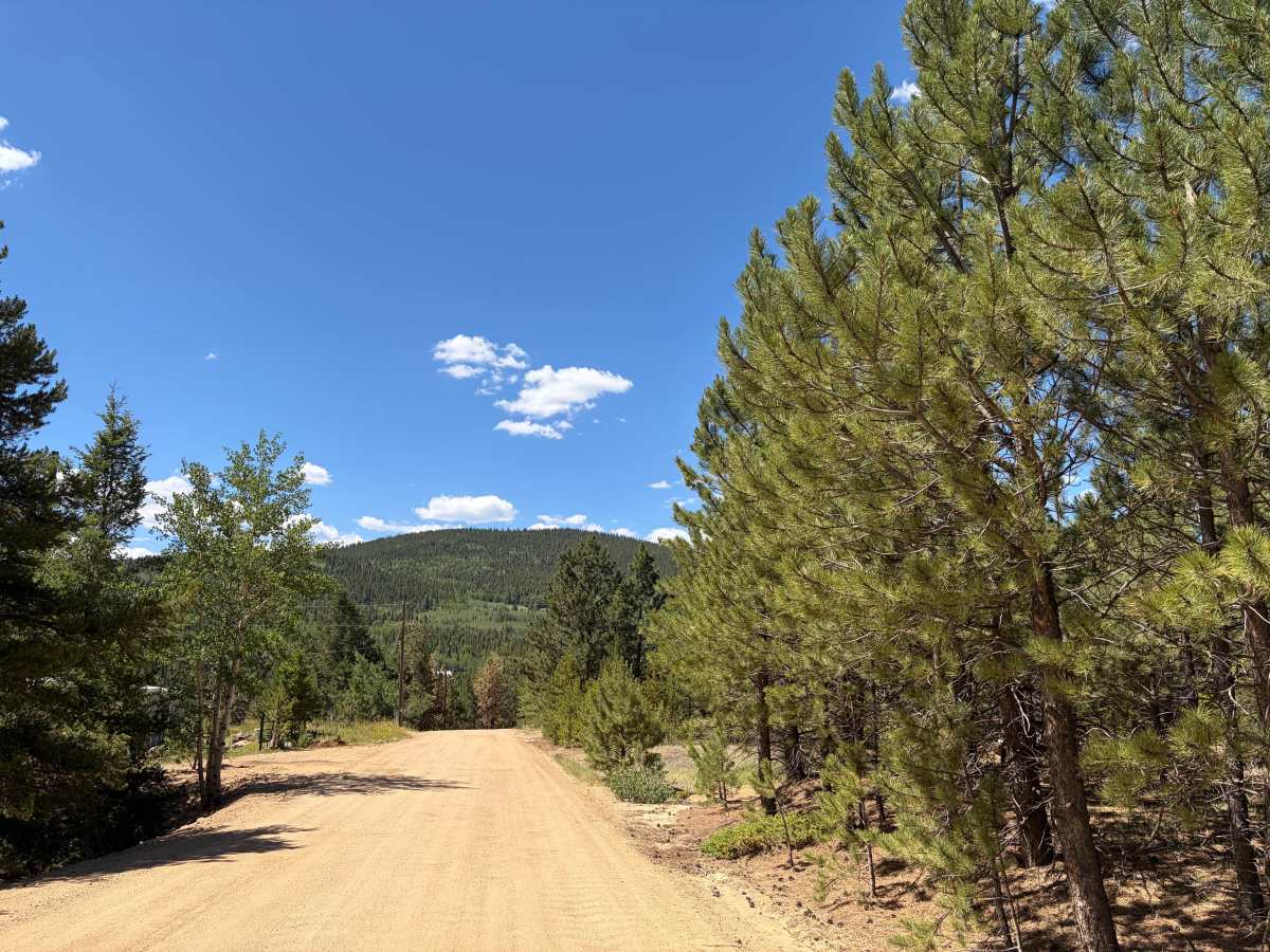 Upper Russell Gulch Road photo 6