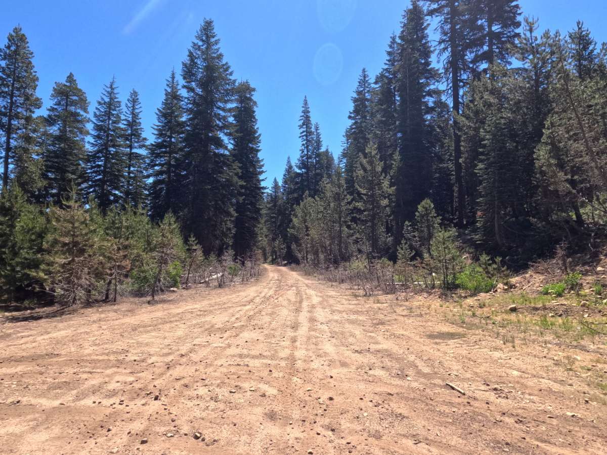 Atherton Flat East - FS 11N34 photo 5