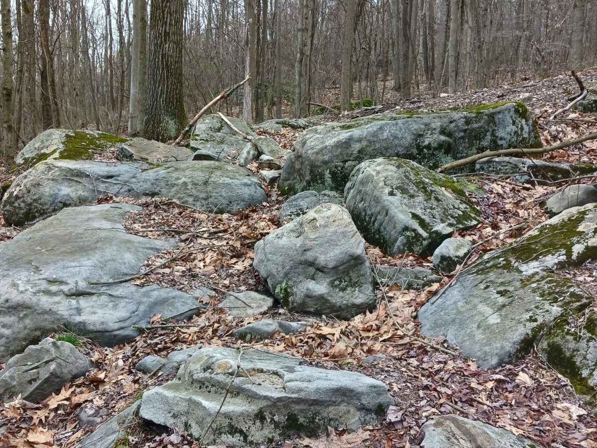 OHV 63 - Rock Run Recreation Area photo 6