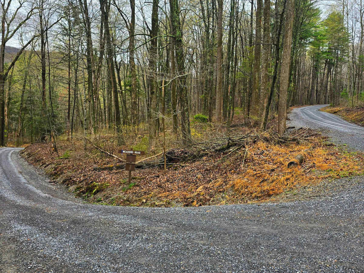 Meadows Road trail photo