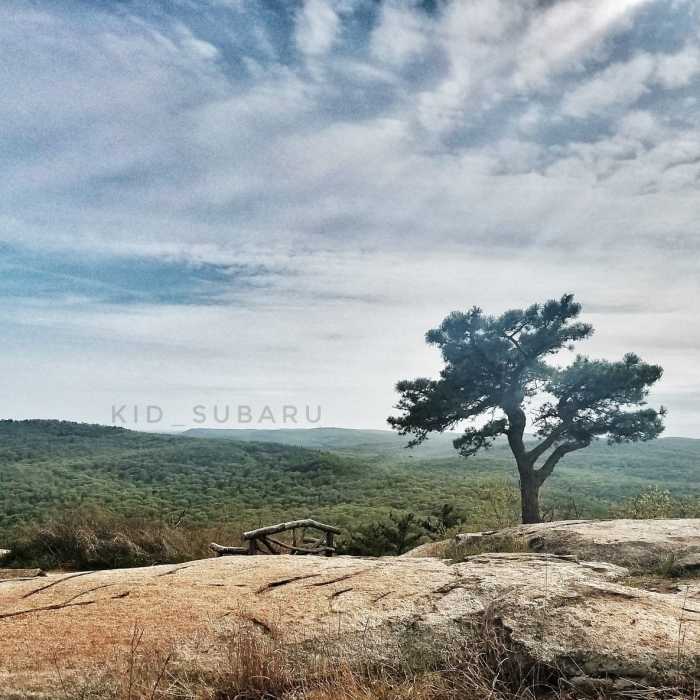 Near Bear Mountain Loop