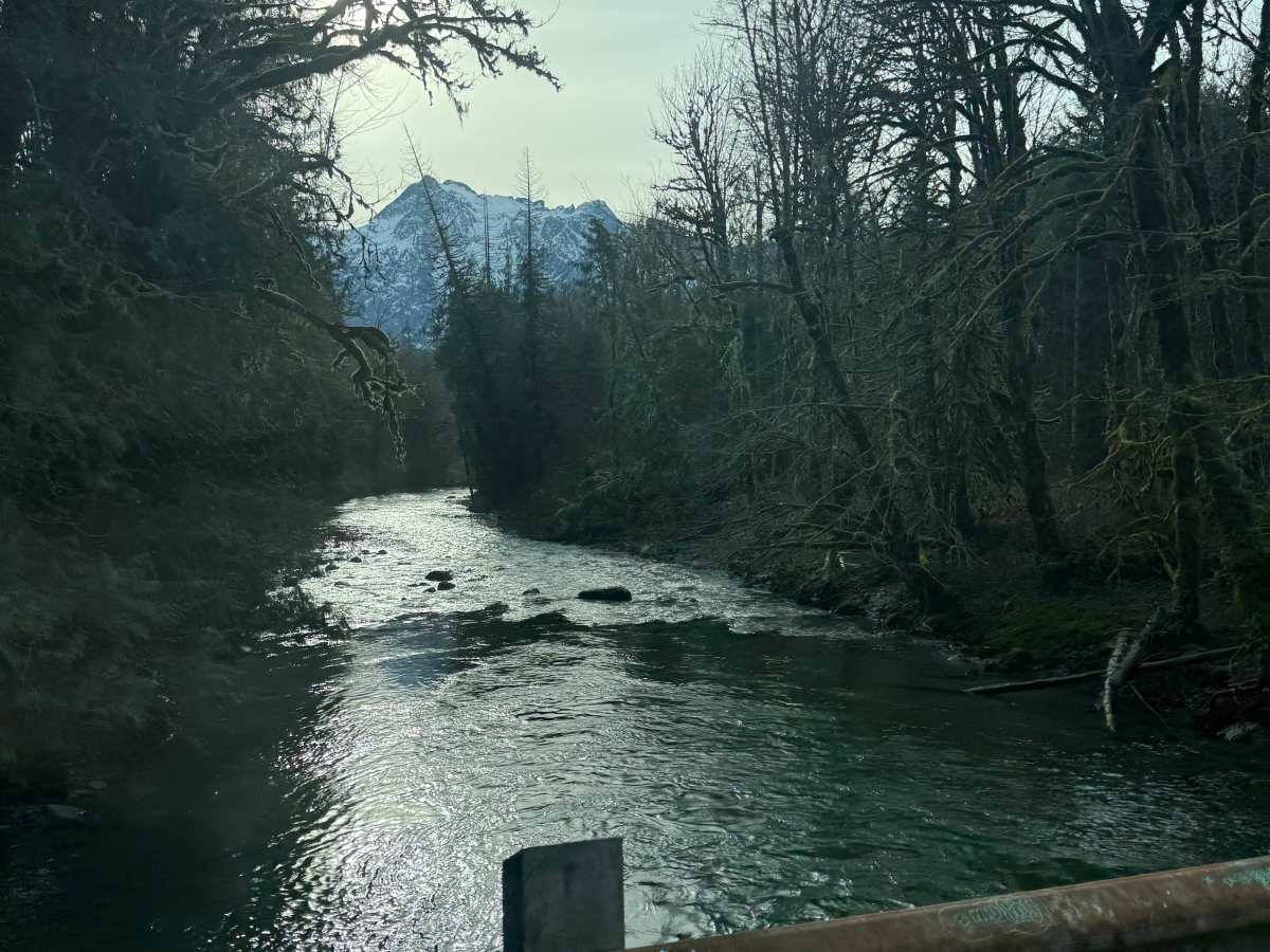 Barco Mainline trail photo
