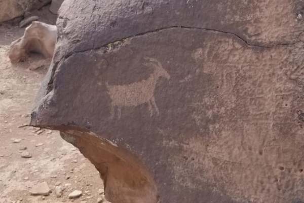 Black Mountain Petroglyph Site