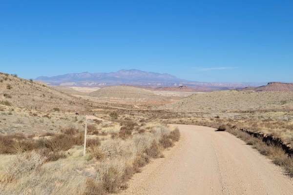 Bear Claw Poppy Trail