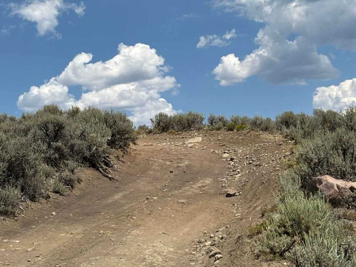 Kremmling Cretaceous Ammonite Locality Access photo 5