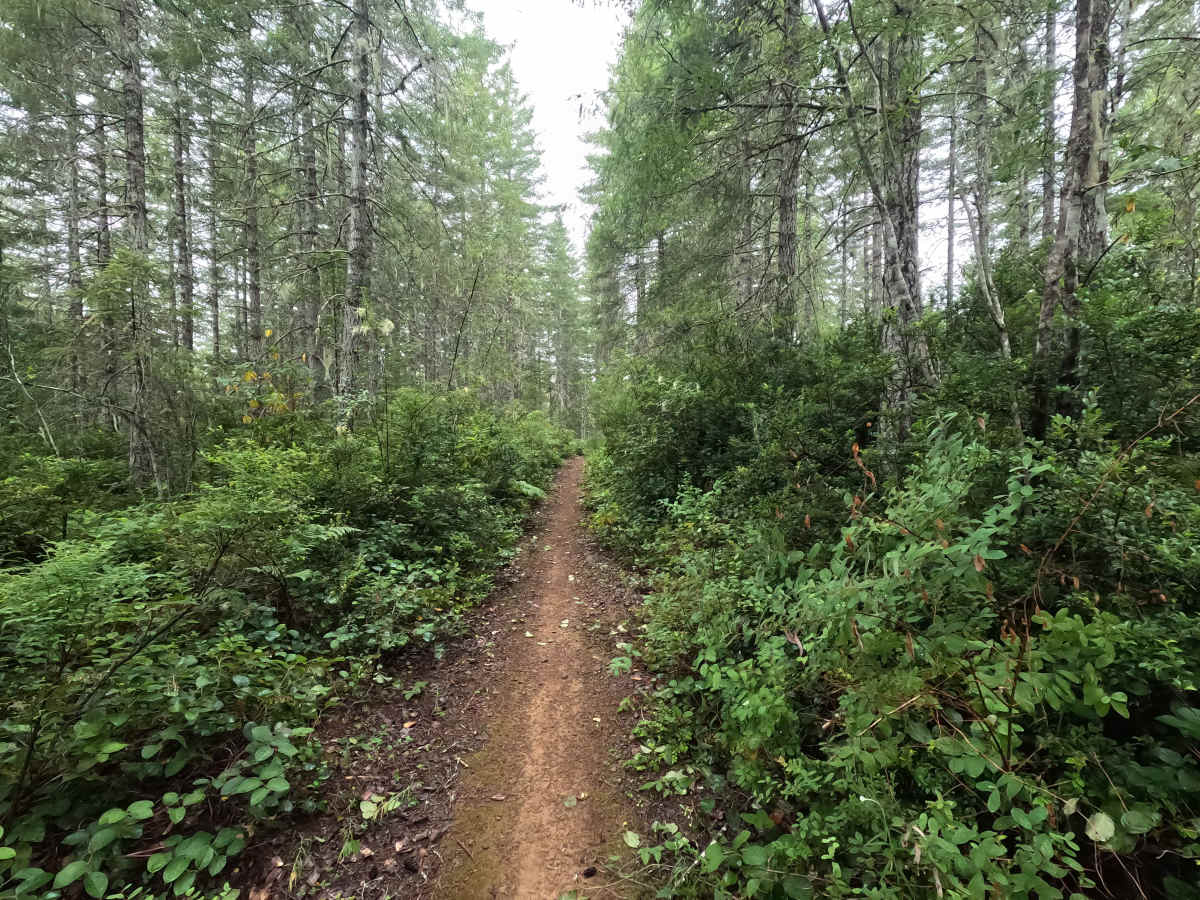 UB Lost Trail photo 2