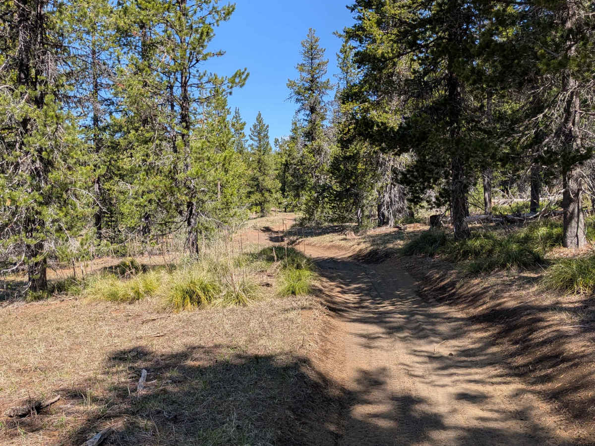 Santiam OHV 13 photo 4