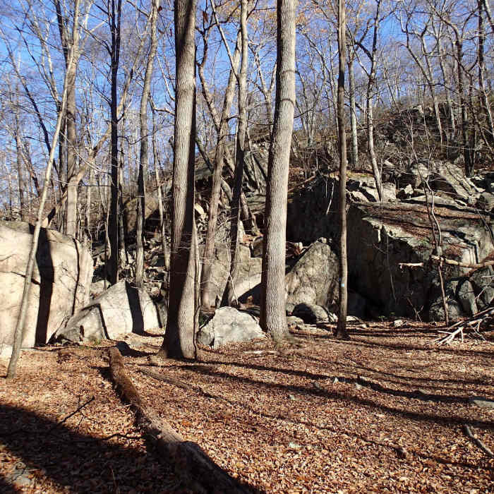 Near Split Rock Trail