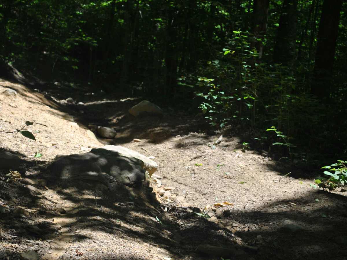 53 photo 5