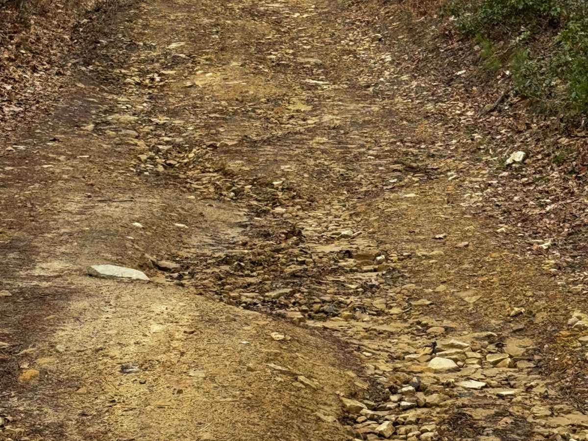 Salt Lick Trail photo 6