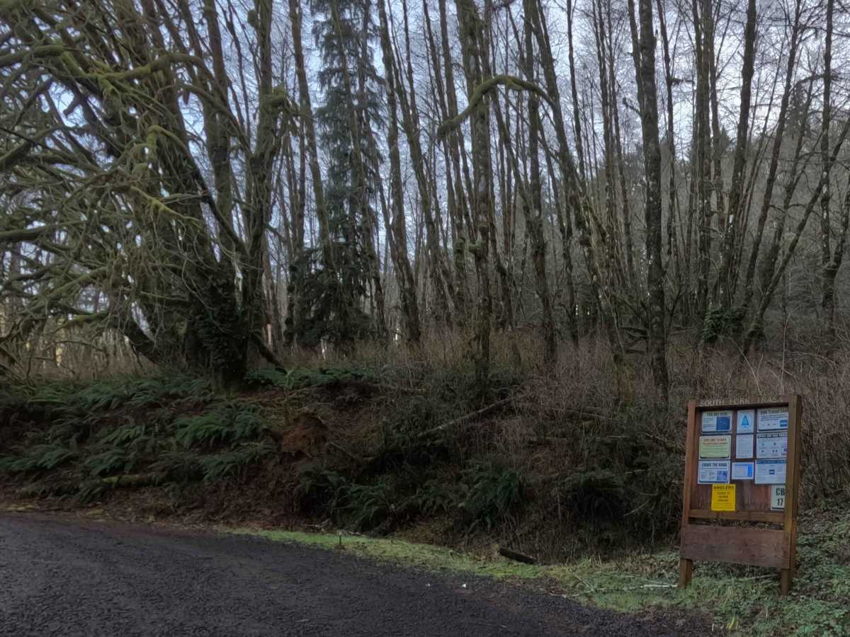 South Fork Trask River Road photo 5