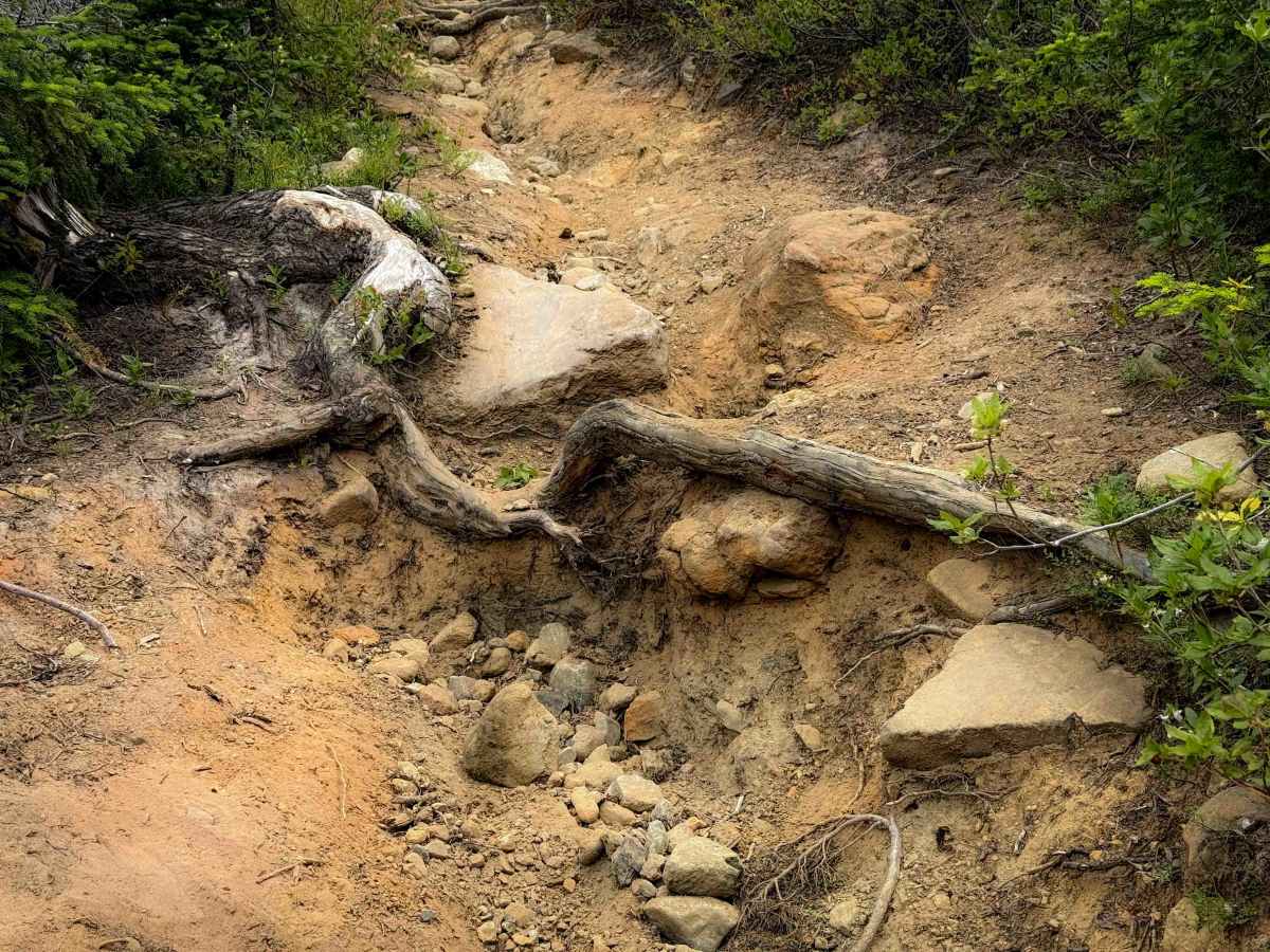 Boulder De Roux (Western Section) photo 4