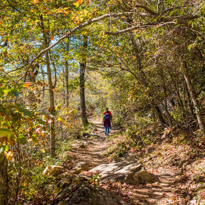 Near Mount Pisgah via the Buck Spring Trail Near Mount Pisgah via the Buck Spring Trail