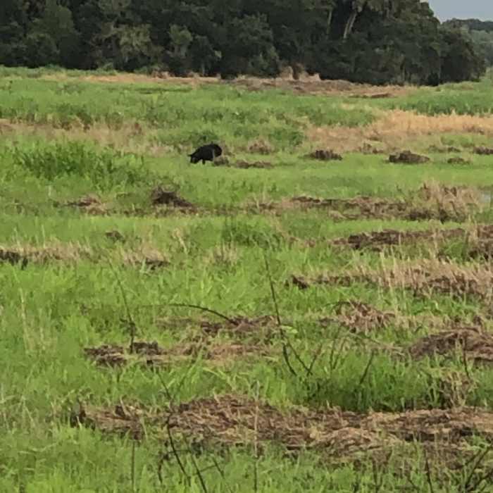 Near William Boylston Nature Trail