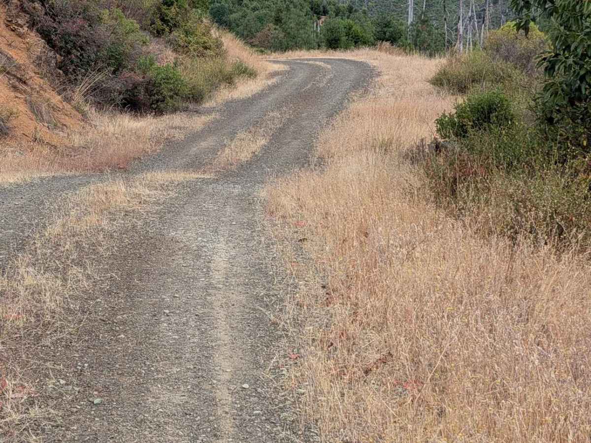 Grapevine Creek Road - FS 4N20 photo 3
